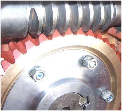 Worm Gear